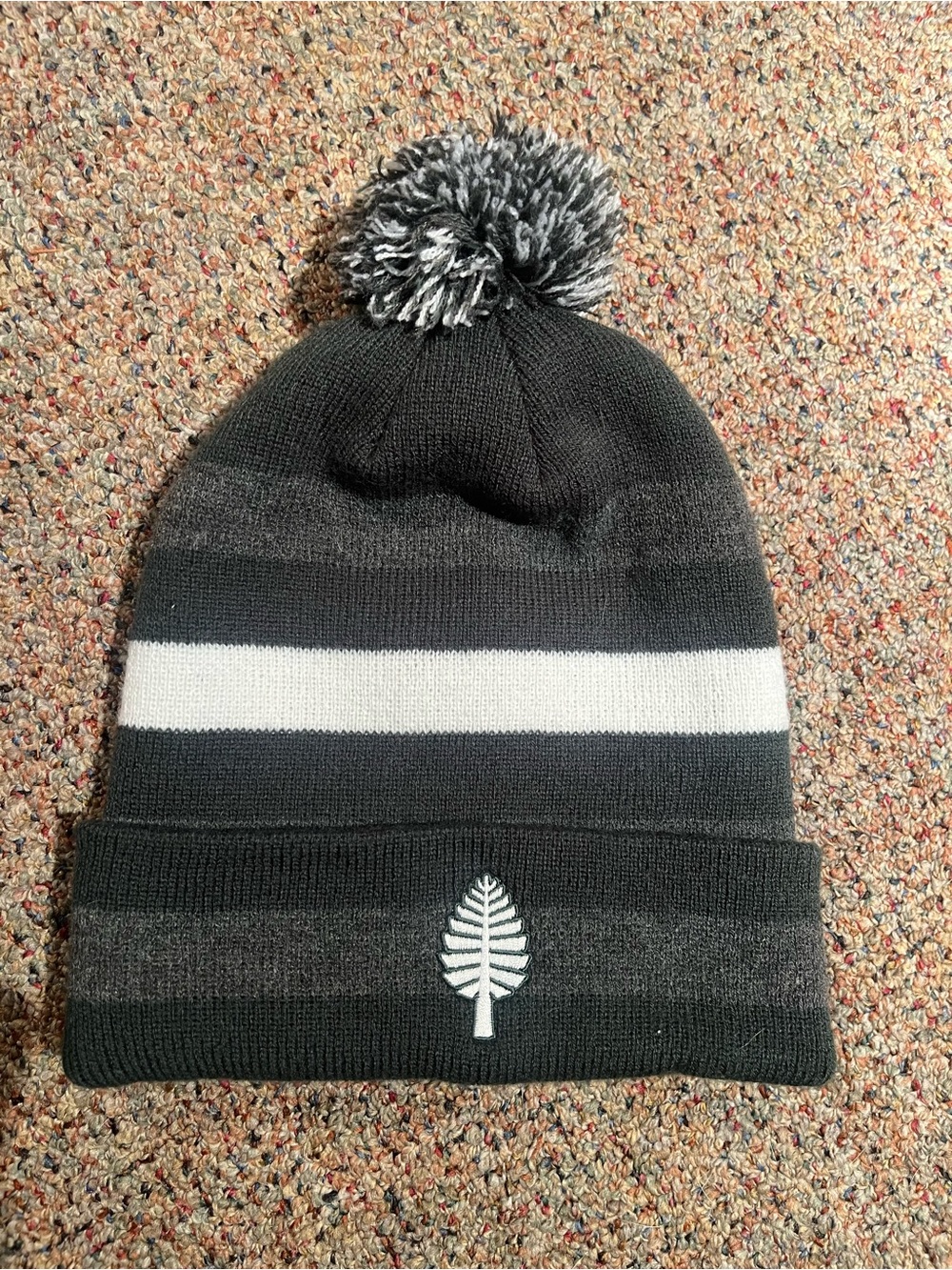 Dartmouth College Pom Pom Beanie Hat - Green, Black & Gray with White Stripe